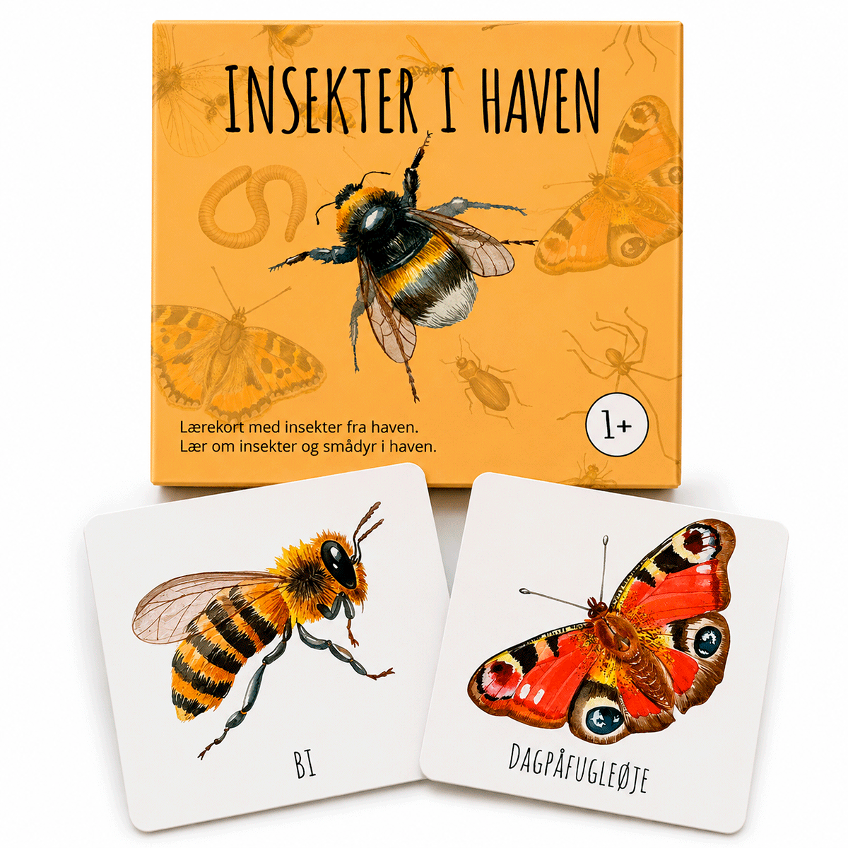 Abcleg Lærekort - Insekter fra haven