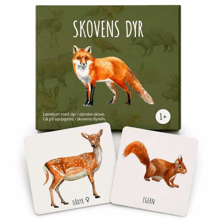 ABCLeg Lærekort — Skovens dyr