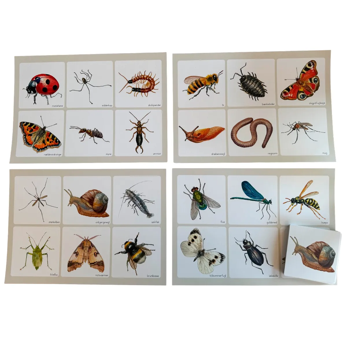 ABCLeg Billedlotteri - Insekter & smådyr