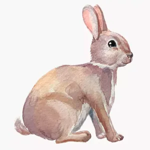 Dyreplakat Hare - A4 (21 x 29,7 cm.)