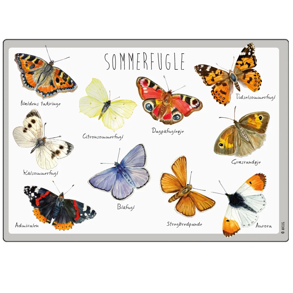 Abcleg Dækkeserviet - Sommerfugle 99-Sommerfugledæk