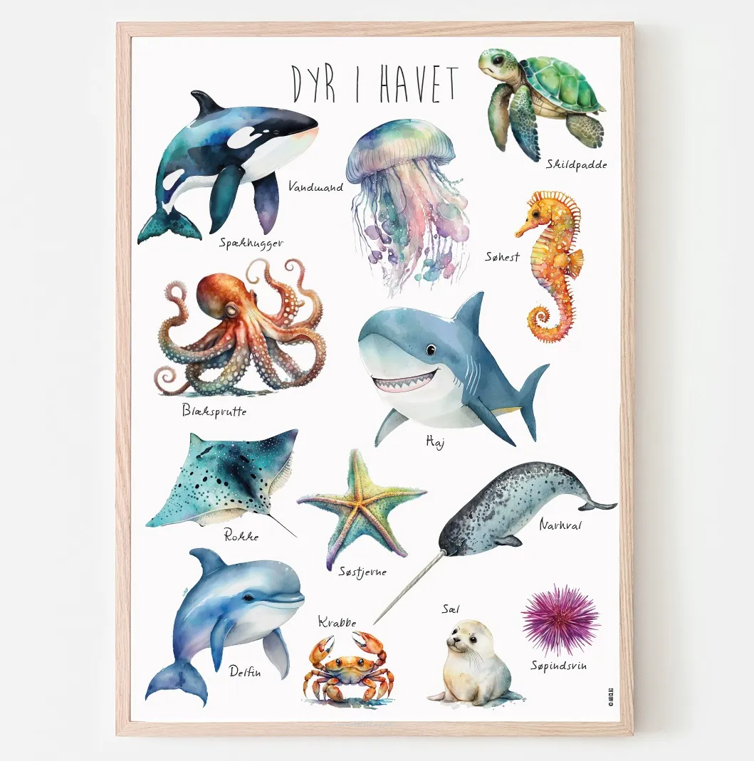 Abcleg plakat - Dyr i havet Havdyrpl