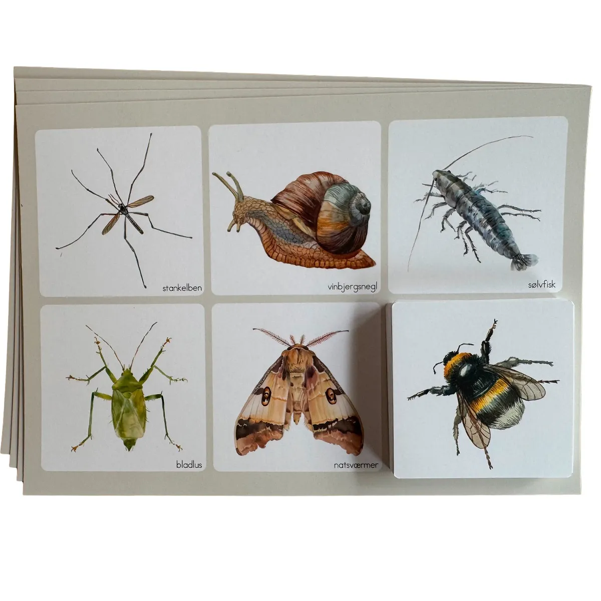 ABCLeg Billedlotteri - Insekter & smådyr 99-Bilinsekter