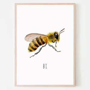 Dyreplakat bi - A4 (21 x 29,7 cm.) bi