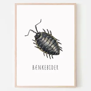 Dyreplakat bænkebidder - A4 (21 x 29,7 cm.) bænkebidder