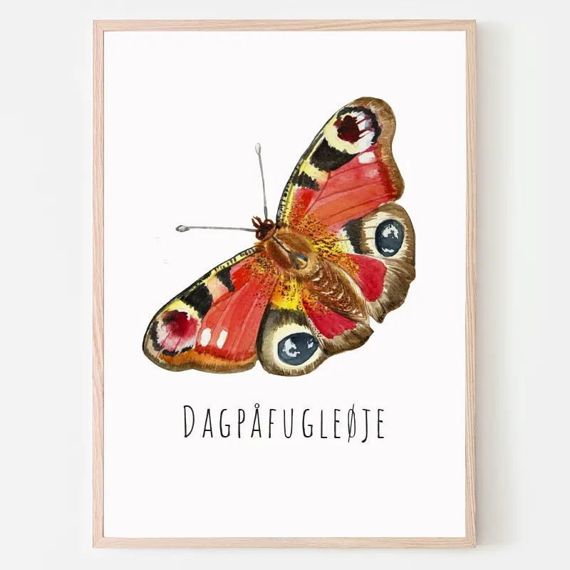 Dyreplakat sommerfugl Dagpåfugleøje - A4 (21 x 29,7 cm.) Dagpåfugleøje
