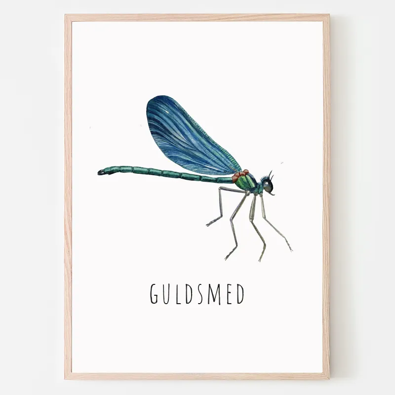 Dyreplakat Guldsmed - A4 (21 x 29,7 cm.) guldsmed