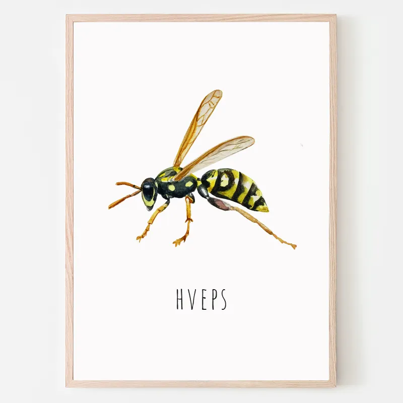 Dyreplakat Hveps - A4 (21 x 29,7 cm.) hveps