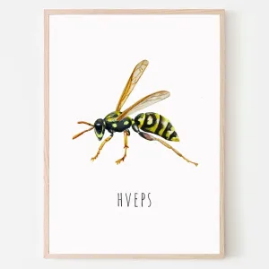 Dyreplakat Hveps - A4 (21 x 29,7 cm.) hveps