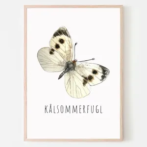 Dyreplakat Kålsommerfugl - A4 (21 x 29,7 cm.) Kålsommerfugl