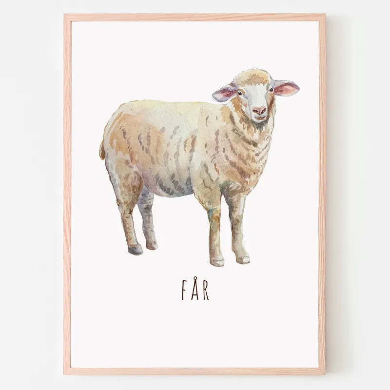 Dyreplakat Får - A4 (21 x 29,7 cm.) Får