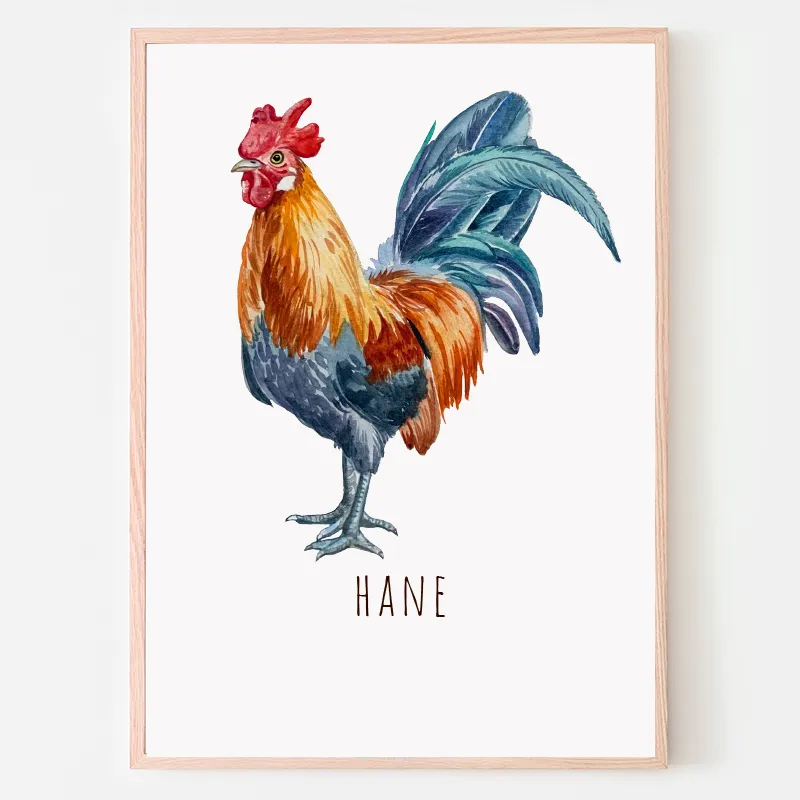 Dyreplakat Hane - A4 (21 x 29,7 cm.) Hane