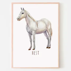 Dyreplakat Hest - A4 (21 x 29,7 cm.) Hest