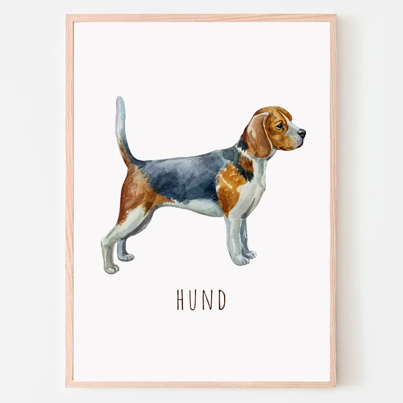 Dyreplakat Hund - A4 (21 x 29,7 cm.) Hund