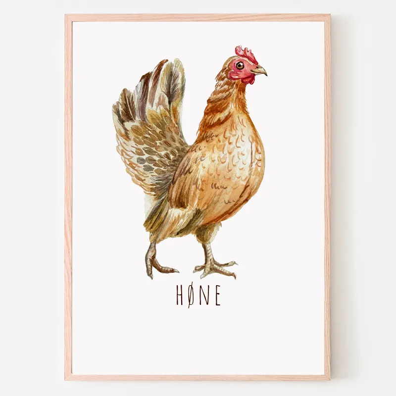 Dyreplakat Høne - A4 (21 x 29,7 cm.) Høne