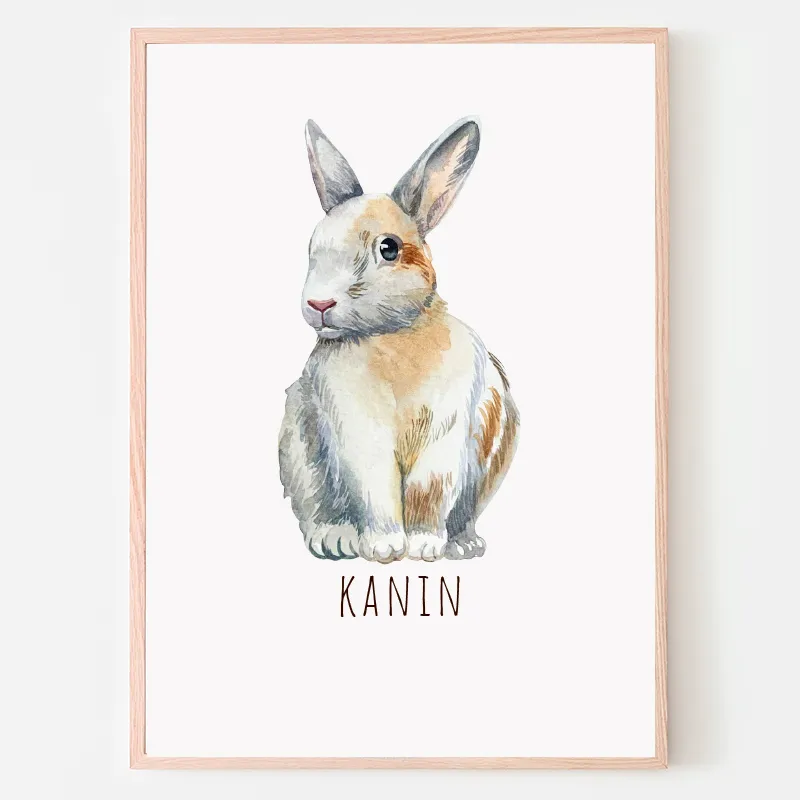 Dyreplakat Kanin - A4 (21 x 29,7 cm.) Kanin
