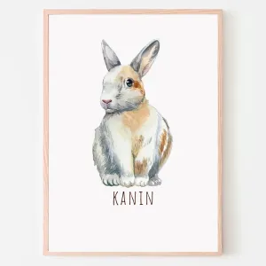 Dyreplakat Kanin - A4 (21 x 29,7 cm.) Kanin
