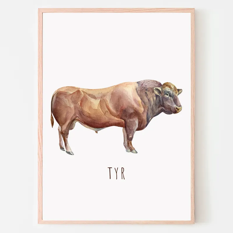 Dyreplakat Tyr - A4 (21 x 29,7 cm.) Tyr