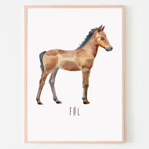 Dyreplakat Føl - A4 (21 x 29,7 cm.) Føl