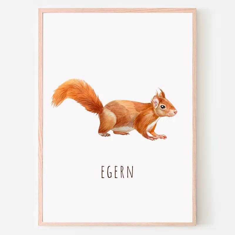 Dyreplakat Egern - A4 (21 x 29,7 cm.) Egern
