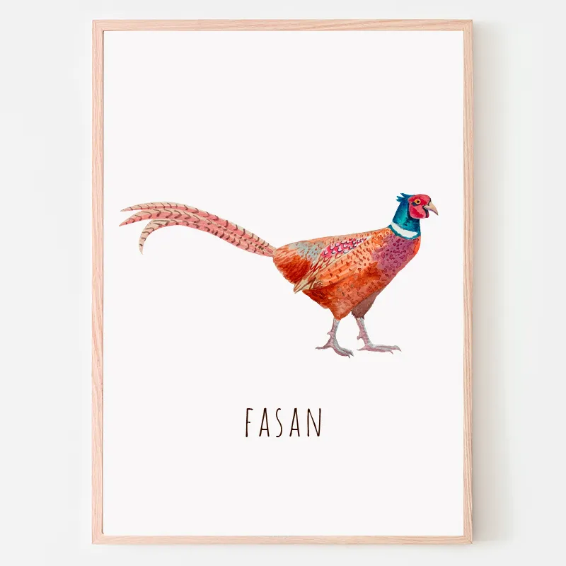 Dyreplakat Fasan - A4 (21 x 29,7 cm.) Fasan