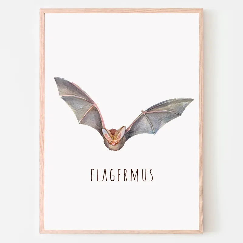 Dyreplakat Flagermus - A4 (21 x 29,7 cm.) Flagermus