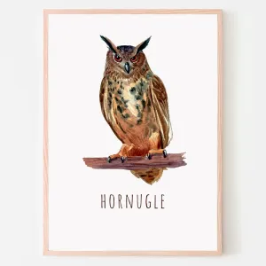 Dyreplakat Hornugle - A4 (21 x 29,7 cm.) Ugle
