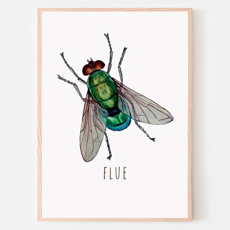 Dyreplakat Flue - A4 (21 x 29,7 cm.) Flue