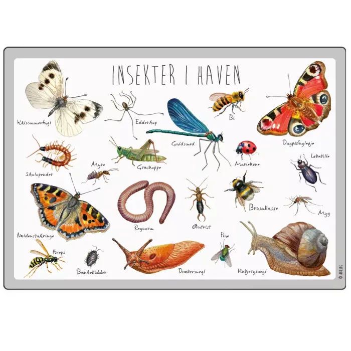 ABCLeg Dækkeserviet — Insekter i haven