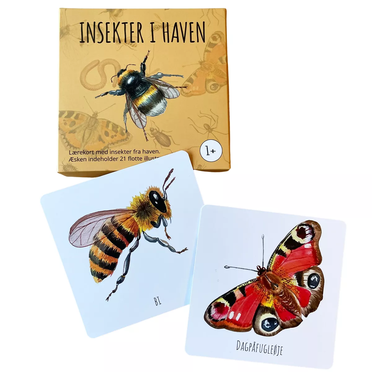 Abcleg Lærekort - Insekter fra haven 500703